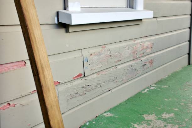 Best Siding Painting and Refinishing  in Lake Hiawatha, NJ